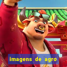 imagens de agro racoes guarani